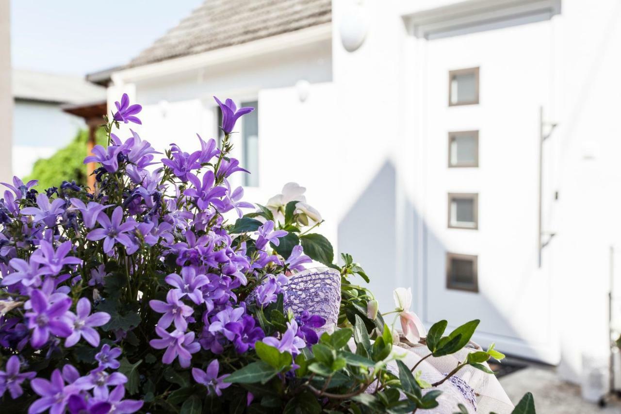 Zehentner - Wein & Feriendomizil Villa อิลมิทซ์ ภายนอก รูปภาพ